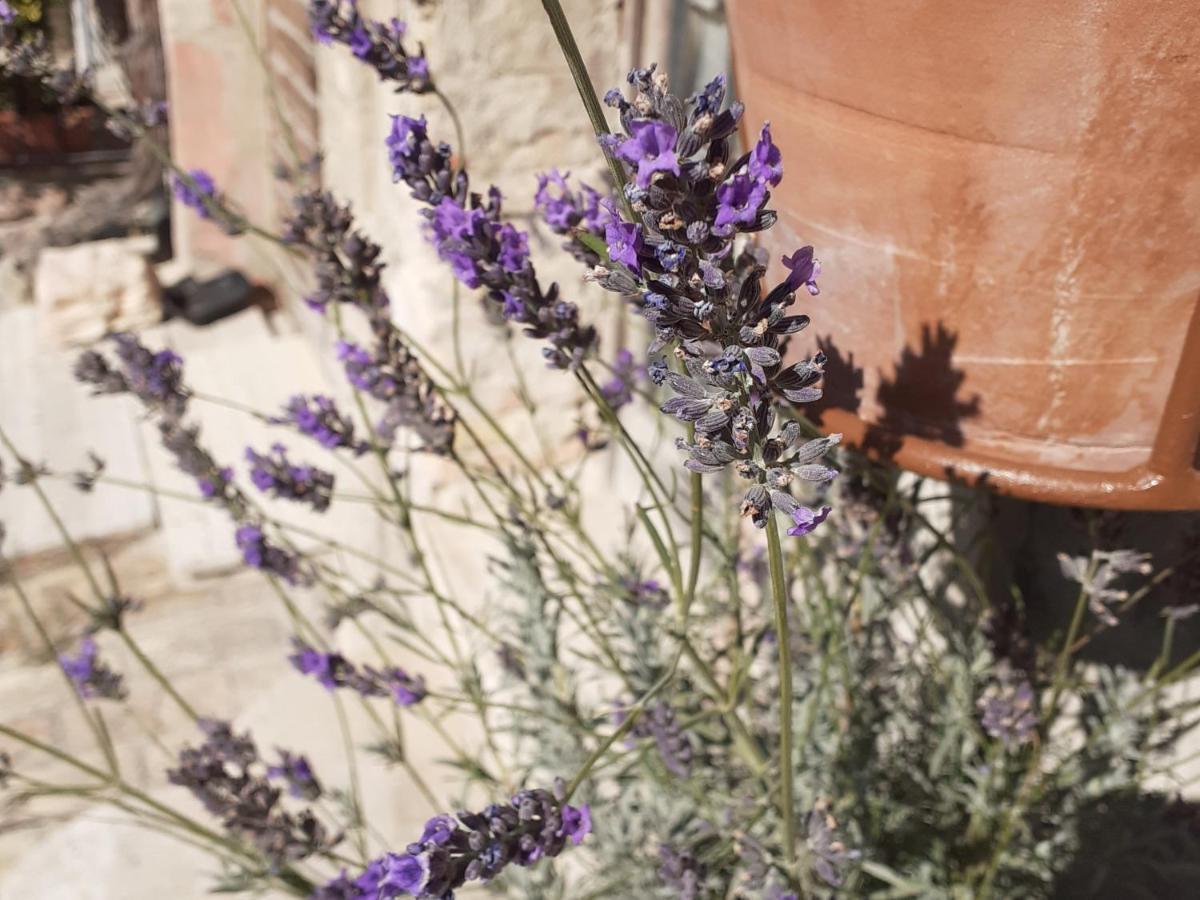 B&B San Francesco Асизи Екстериор снимка
